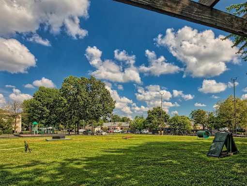 Pet Park at Compass at City Center, Virginia
