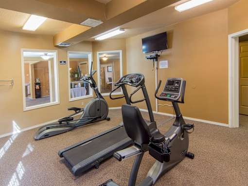 A gym with treadmills and elliptical machines.