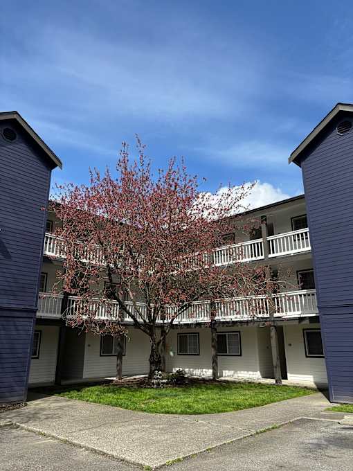 A tree with red leaves is in front of a building with blue siding at Waterford Apartments, Everett, Washington