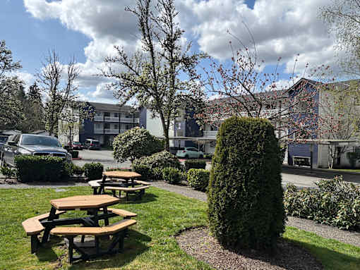 Picnic tables are set up in a grassy area at Waterford Apartments, Everett, Washington