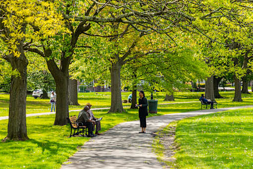 A park with people sitting on benches and walking paths.