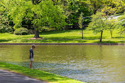 outside, walking distance, greenery, park, neighborhood, town, orange
