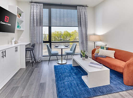 spacious studio, large window, oversized closets