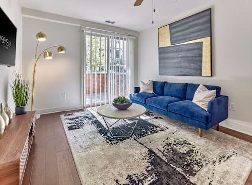 Large living room with a blue couch and a rug.