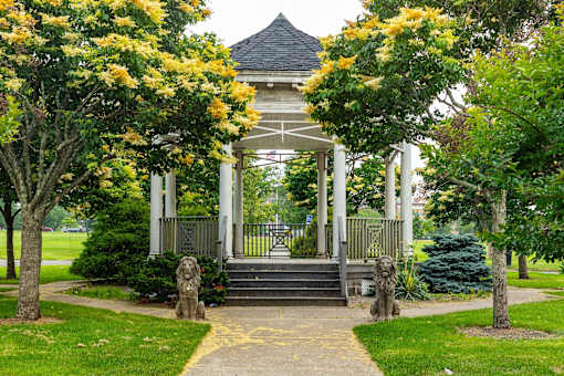 A gazebo is surrounded by trees with yellow flowers.