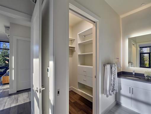 Bedroom with Walk in Closet