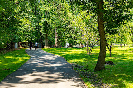 A pathway in a park with people walking on it.