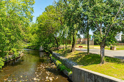A river flows through a green park with trees on both sides.