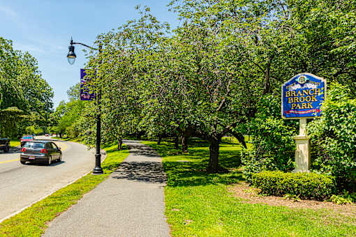 A sign for Branch Brook Park is on a post at the side of a tree-lined road.