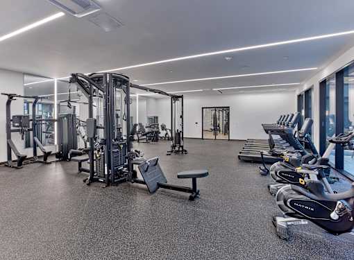 A spacious gym with a variety of equipment including treadmills, weight machines, and benches.