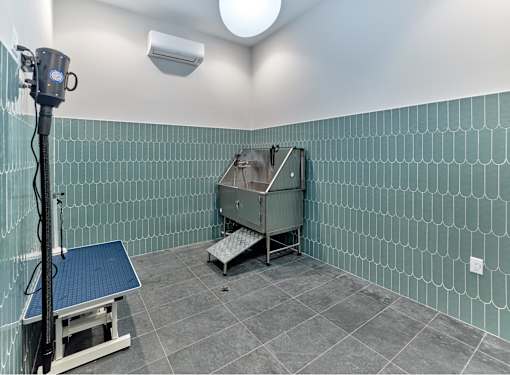 A room with a blue tile wall and a sink.