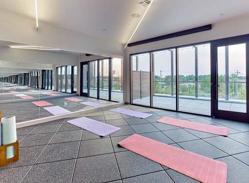 A yoga studio with pink mats and large windows.