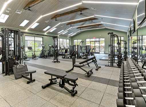 A gym with a variety of equipment including treadmills, weights, and benches.