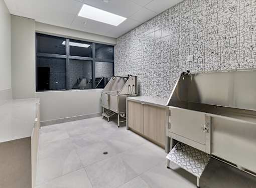 Private pet spa and dog wash