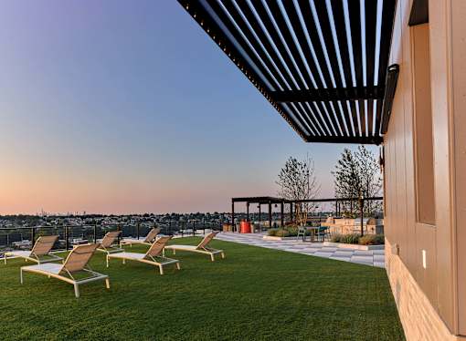 A row of sun loungers are on a lawn.