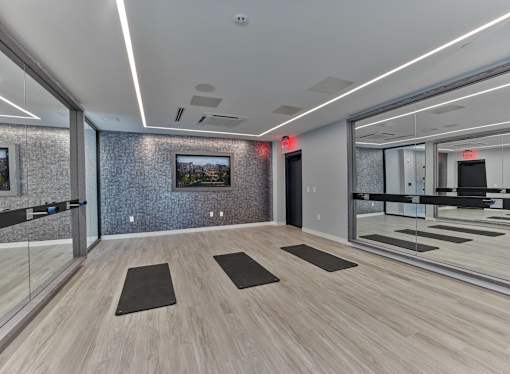 gym, fitness, fitness center, workout