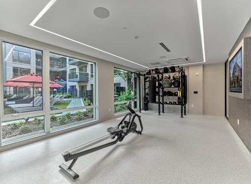 gym, fitness, fitness center, workout