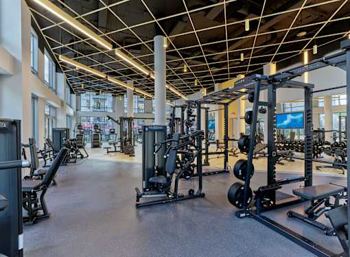 gym, fitness, fitness center, workout