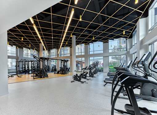 gym, fitness, fitness center, workout