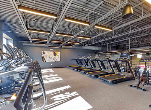 cardio machines, treadmill, elliptical