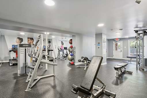 A gym with a variety of equipment including weights and cardio machines.