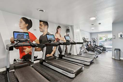 Three people are working out on treadmills in a gym.