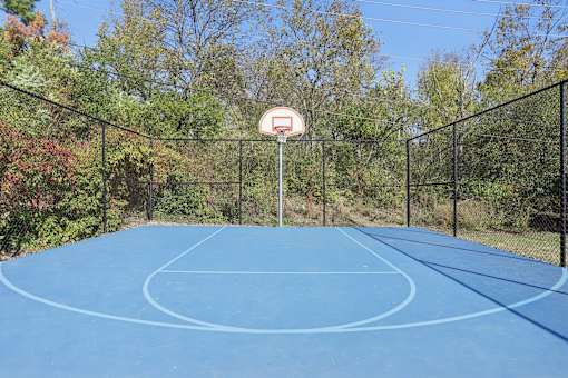 A basketball court surrounded by a fence and trees.