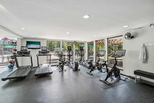 River Oaks at Rochester Hills Apartments fitness center with treadmills, ellipticals, and stationary bikes facing pool patio.