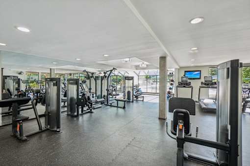 Fitness center with cardio and weight machines and large windows at River Oaks at Rochester Hills Apartments.