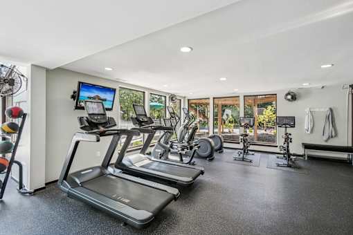 River Oaks at Rochester Hills Apartments fitness center with treadmills, ellipticals, spin bikes, and large windows.
