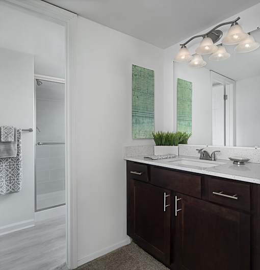 Bathroom vanity with dark cabinets, white countertop, mirror, light fixture and shower at River Oaks at Rochester Hills.