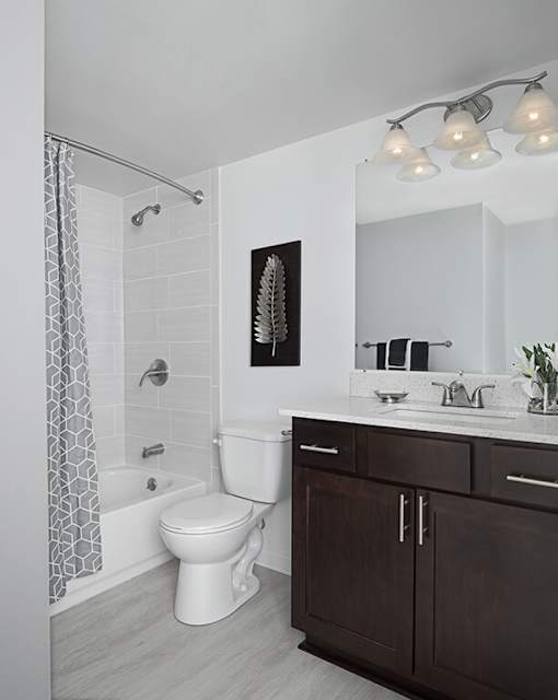 Apartment bathroom at River Oaks at Rochester Hills with tub/shower, toilet, and dark wood vanity.