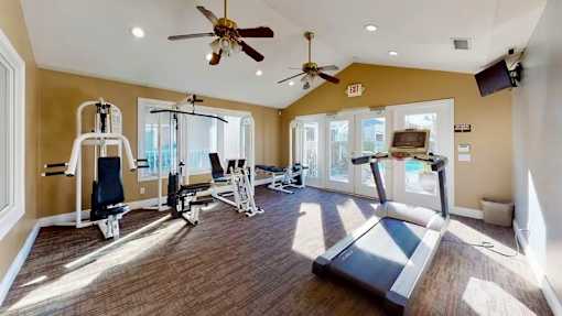 A gym with a treadmill, weights, and exercise equipment.
