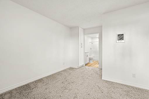 A room with a carpeted floor and a doorway leading to another room.