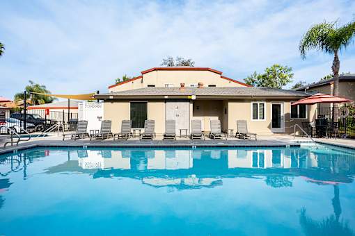 A pool in front of a house with a fence and palm tree.