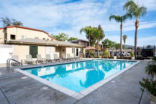 A swimming pool surrounded by palm trees and a building.