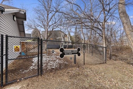 Outdoor dog run