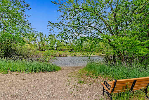 A wooden bench sits on a dirt path next to a river.