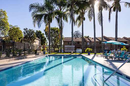 A swimming pool surrounded by palm trees and lounge chairs.
