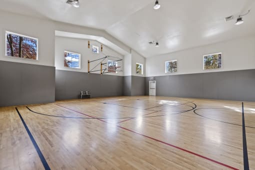 Basketball Court