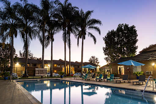 A swimming pool surrounded by palm trees and lounge chairs.
