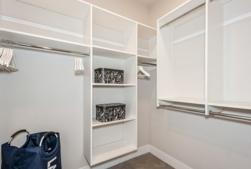 a walk in closet with white closets and shelves and a window