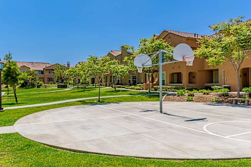 A basketball court is surrounded by houses and trees.