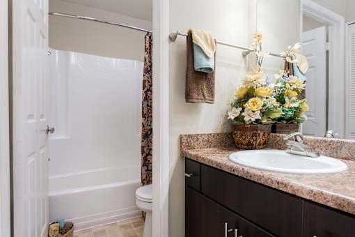 Bathroom at Navajo Bluffs Apartments