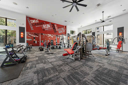 A gym with a variety of equipment including treadmills, stationary bikes, and weight machines.
