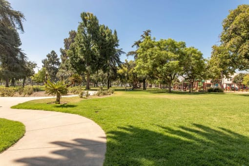 a grassy area with trees in the background and a paved walkway in the foreground