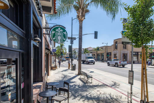 a city street with a starbucks sign on the side of a tree