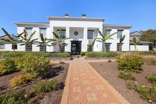leasing office with palm tress in front of it