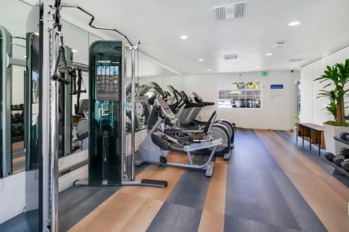 two treadmills and other exercise equipment in a gym