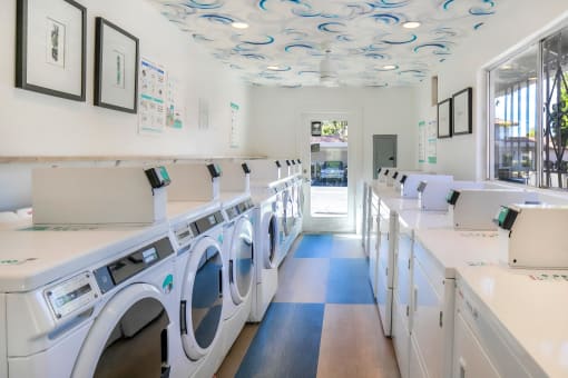 a washer and dryer laundry room with rows of washers and dryers